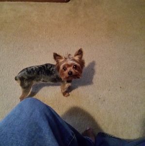 Meet your Posher, Regi